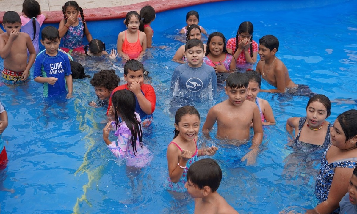 natacion01
